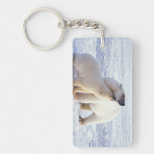 Porte-clefs Ours polaire femelle avec ourson, meute