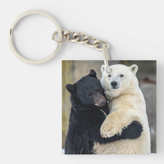 Porte-clefs Ours polaires et ours noirs s'étreignant (Devant)