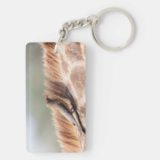 Porte-clefs Oxpecker sur une girafe (Dos)