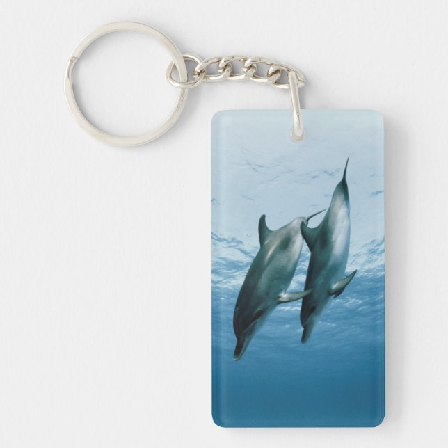 Porte-clefs Paire de dauphins (Devant)