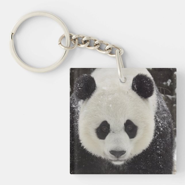 Porte-clefs Panda géant en neige (Devant)