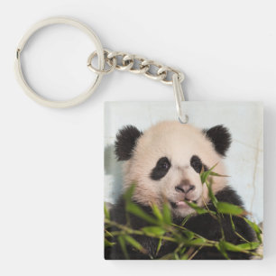 Porte-clefs Panda géant penché contre le mur