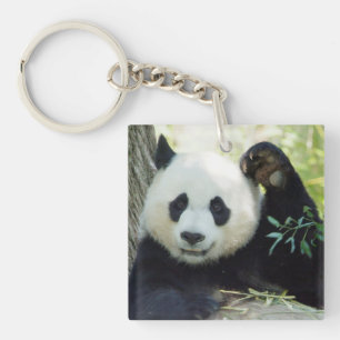 Porte-clefs Panda géant se reposant contre l'arbre