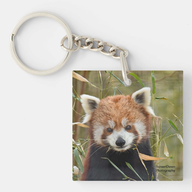 Porte-clefs Panda rouge (Devant)