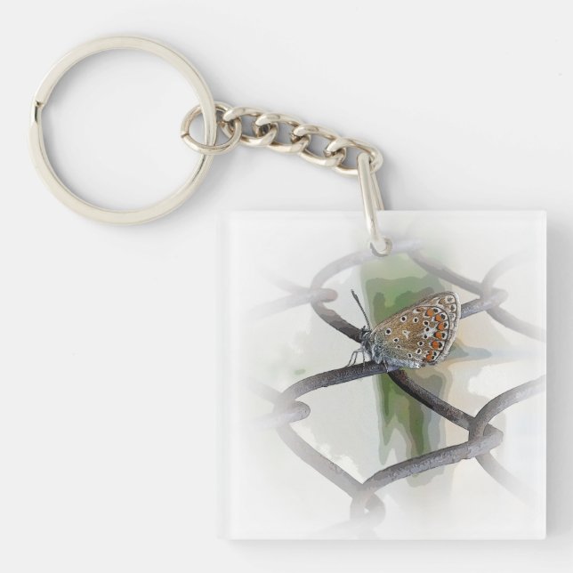 Porte-clefs papillon à la clôture (Devant)