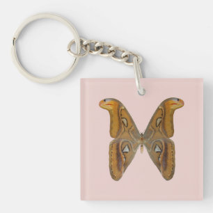 Porte-clefs Papillon Atlas