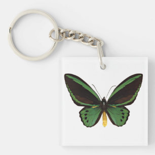 Porte-clefs Papillon d'oiseau vert