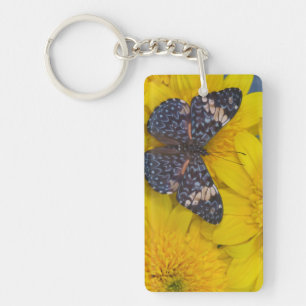 Porte-clefs Papillon sur une fleur jaune