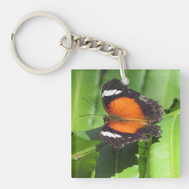 Porte-clefs Papillon tropical (Devant)