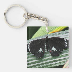 Porte-clefs Papillon tropical noir et blanc Acrylique