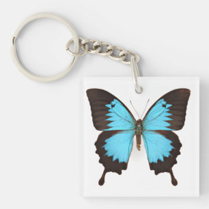 Porte-clefs Papillon Ulysse