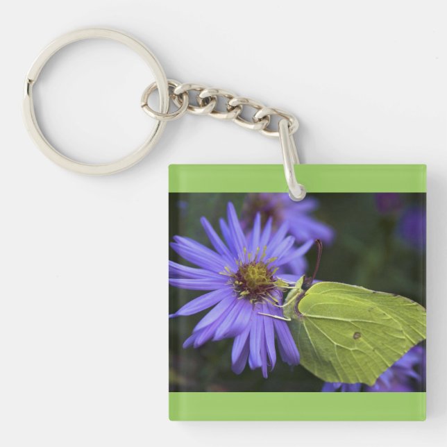 Porte-clefs Papillon vert (Devant)