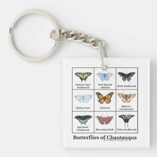 Porte-clefs Papillons de Chautauqua