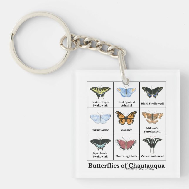 Porte-clefs Papillons de Chautauqua (Devant)