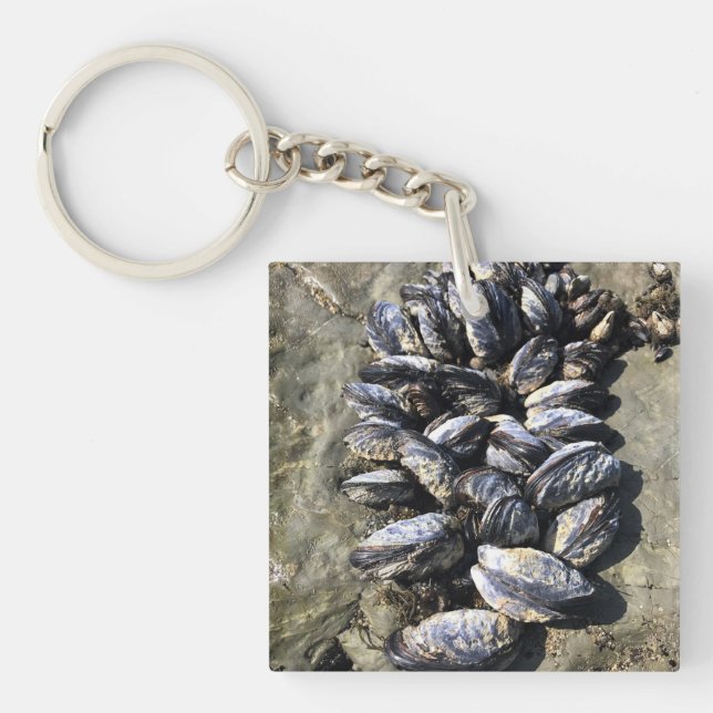 Porte-clefs Parc Rock State de Sisters (Devant)
