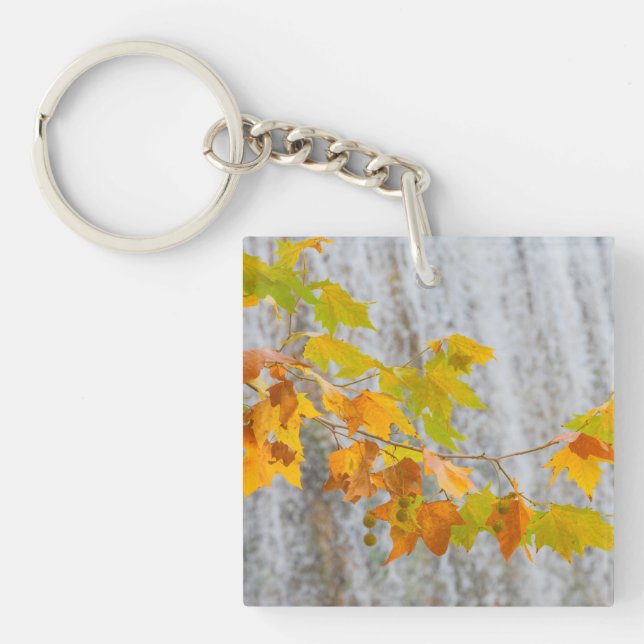 Porte-clefs Parque Natural del Monasterio - feuille d'automne (Devant)