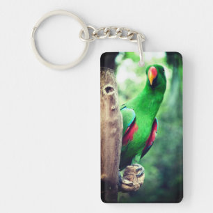 Porte-clefs Parrot coloré Macaw Bird