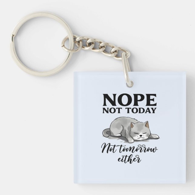 Porte-clefs Pas aujourd'hui, pas demain - Chat endormi (Devant)
