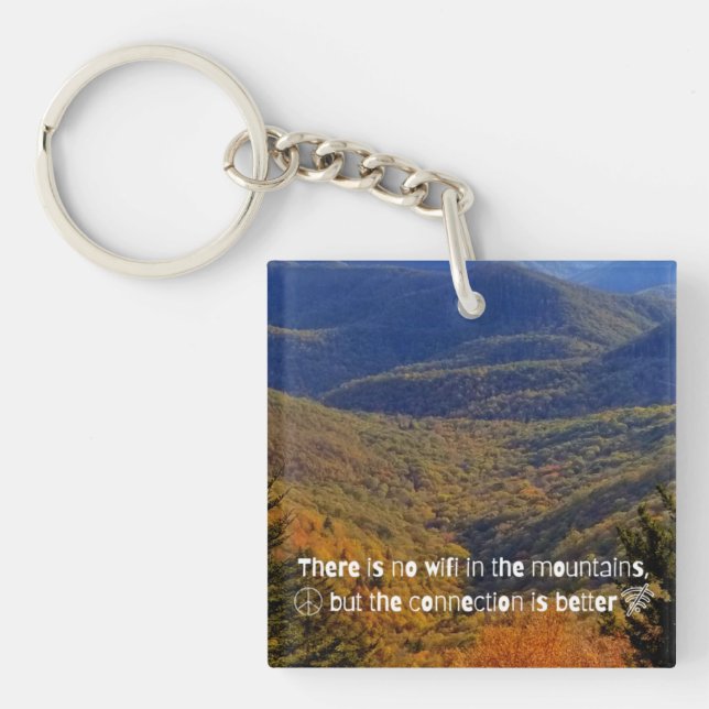 Porte-clefs Pas de Porte - clé acrylique WIFI (Devant)