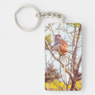 Porte-clefs Patas est au sommet d'un arbre