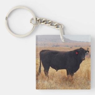 Porte-clefs Pâturage de Steer Black Angus avec son troupeau