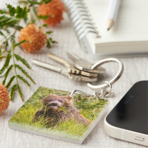 Porte-clefs Pâturage des petits grizzlis, Alaska