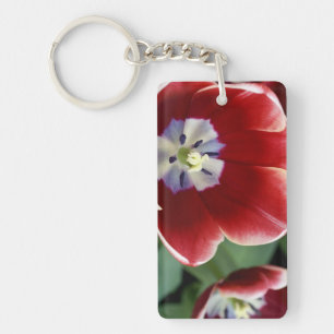 Porte-clefs Pays-Bas (aussi appelé Hollande), Lisse. Keukenhof