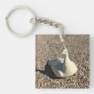 Porte-clefs Peacock Blanc, Idaho