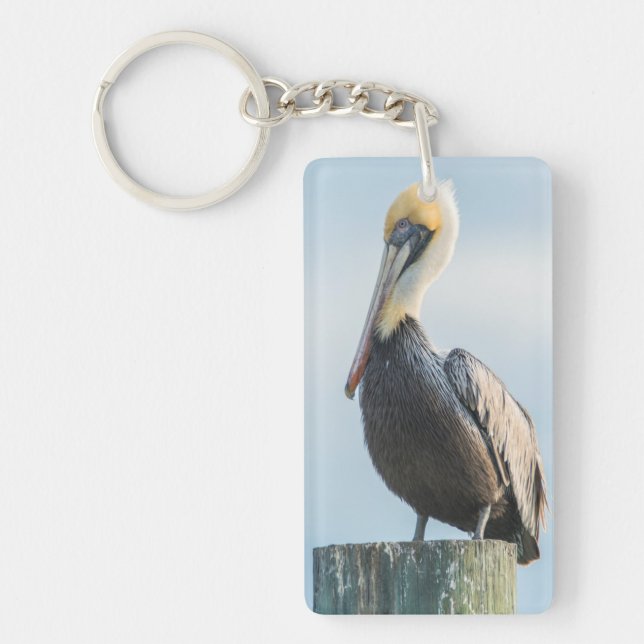 Porte-clefs Pélican perché sur pylône (Devant)