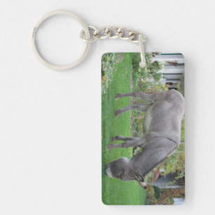 Porte-clefs Pelouse Biologique Sur Quatre Trous