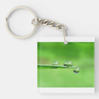 Porte-clefs Pelouse zen paisible avec rosée goutte nature