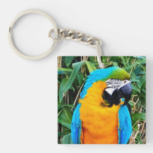 Porte-clefs Perroquet bleu et jaune