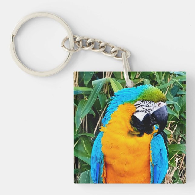 Porte-clefs Perroquet bleu et jaune (Devant)