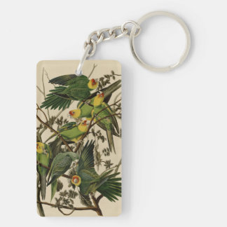 Porte-clefs Perroquet de la Caroline