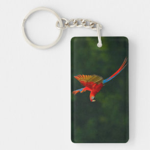 Porte-clefs Perroquet en vol