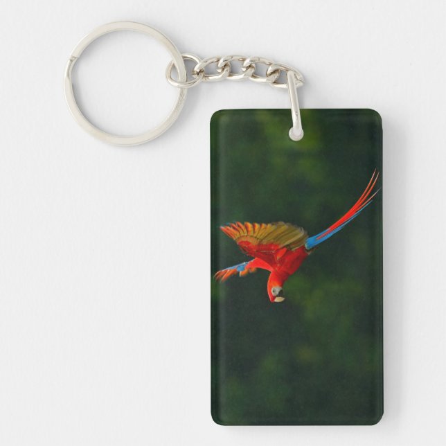 Porte-clefs Perroquet en vol (Devant)