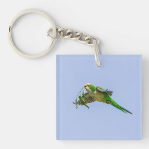 Porte-clefs Perruche de moine dans la vallée du Rio Grande