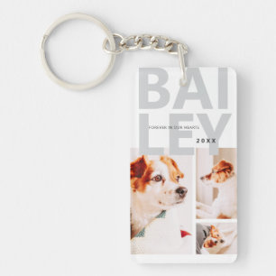 Porte-clefs Pet Memorial Modern Simple Trois Photo Collage