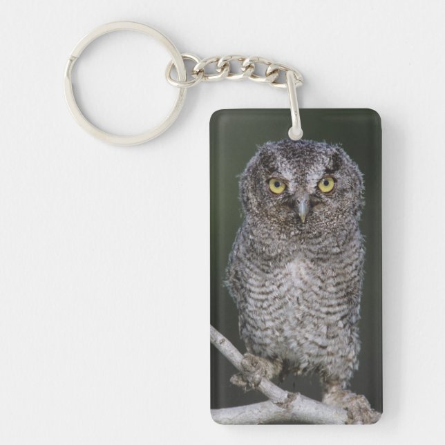 Porte-clefs Petit-duc maculé, Megascops asio, Otus 2 (Devant)