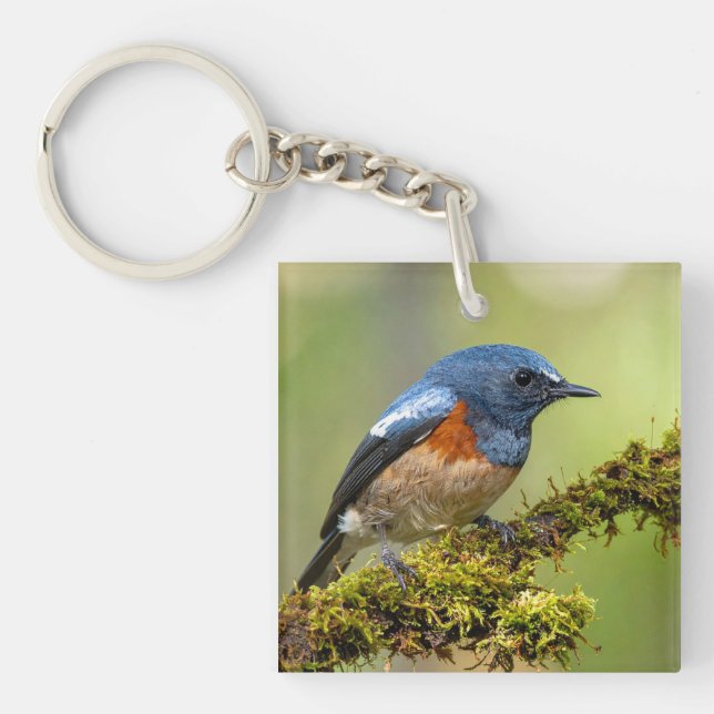 Porte-clefs Petit oiseau bleu (Devant)
