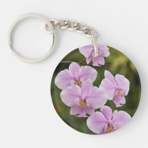 Porte-clefs Phalaenopsis Schilleriana