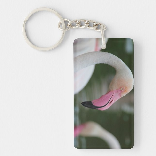 Porte-clefs Phoenicopterus roseus (Devant)