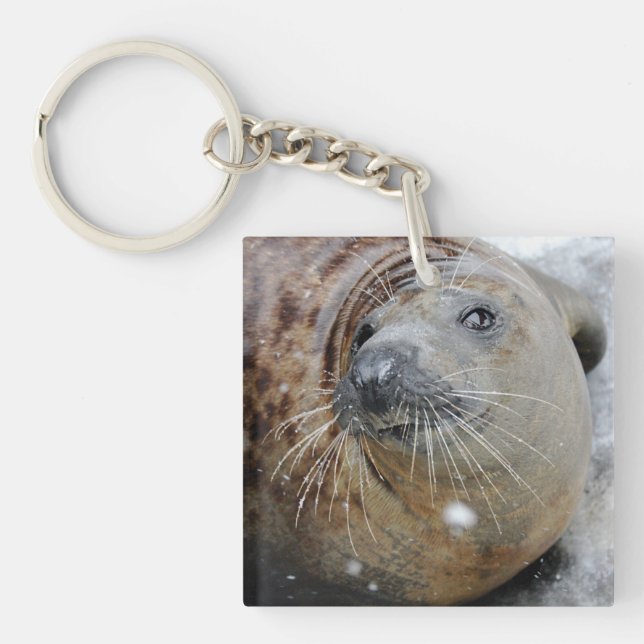 Porte-clefs Phoque gris sur glace (Devant)