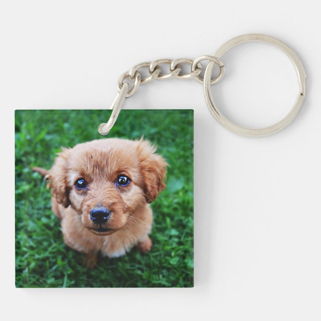 Porte-clefs Photo adorable de chiot (Dos)