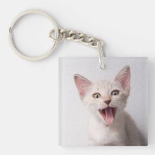Porte-clefs Photo de chat mignon et drôle