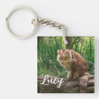 Porte-clefs Photo de chat sauvage / Amateur de chat
