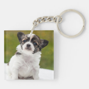 Porte-clefs Photo de chiot chihuahua mignon