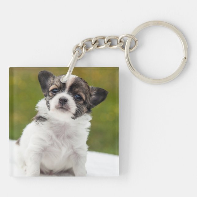 Porte-clefs Photo de chiot chihuahua mignon (Dos)