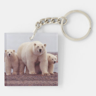 Porte-clefs Photo de famille d'ours polaires mère et oursons