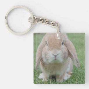 Porte-clefs photo de lapin grave